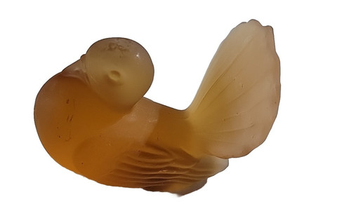 Westmoreland pouter piccione - westmoreland,