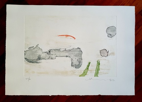 Hsiao chin acquaforte colori - acquaforte, a