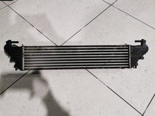 8E0650000 RADIATORE TURBO