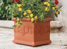 Vaso Quadrato in Resina decorato festonato Uva 35x35xh 29 cm da esterno giardino
