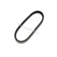 AP8560188 OEM Drive Belt