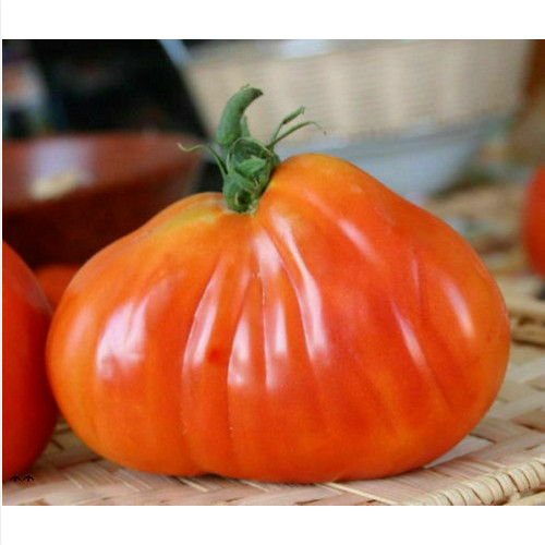 Pomodoro cuore bue peso - cuore, di