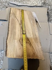 Fetta Di Ulivo Secca Per Lavori In Legno