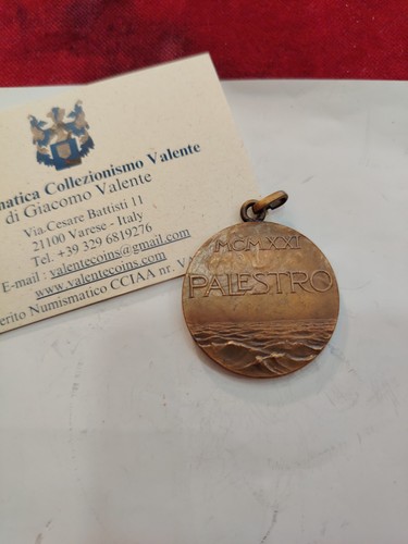 Medaglia palestro risorgimento - palestro,