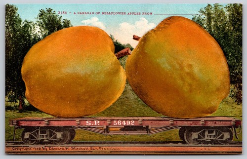 1910 bellflower mele treno - bellflower,