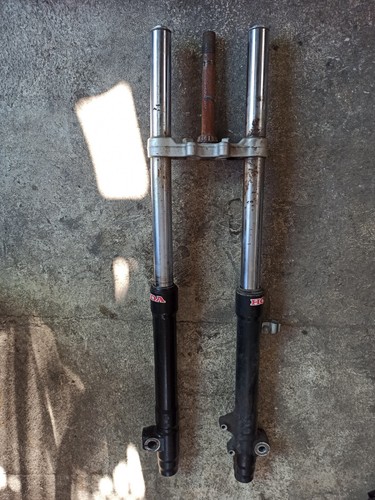 Forcella anteriore betamotor - anteriore,