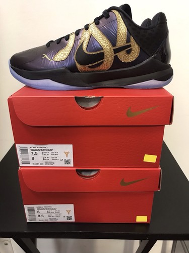 Kobe protro anno della - protro,