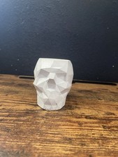 Fioriera succulenta teschio