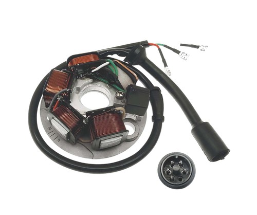 Statore poli fili piaggio - 6,