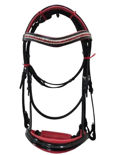 Bellissima briglia pelle - briglia,