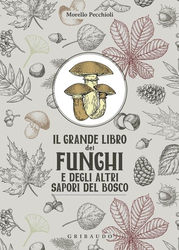 Libri morello pecchioli il - libri,