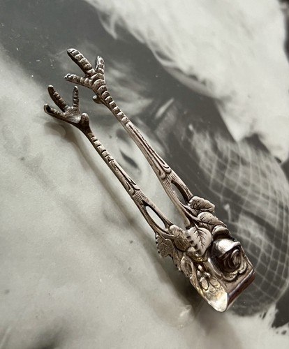 Antico antica elegante - elegante, pinza