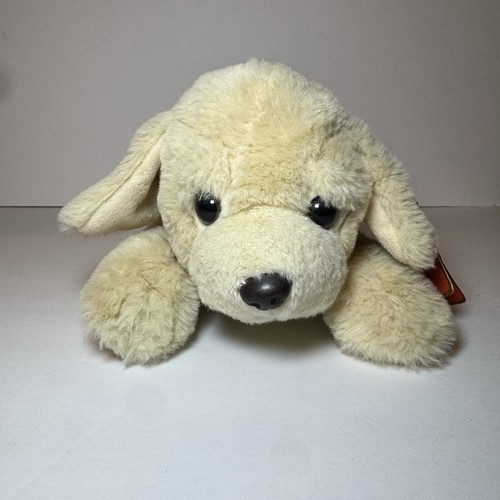 Fao nero golden labrador - fao,
