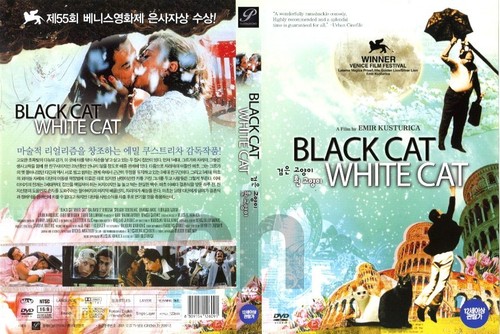 Black cat white - cat,,