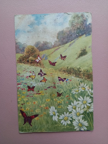 Cartolina farfalle - cartolina,