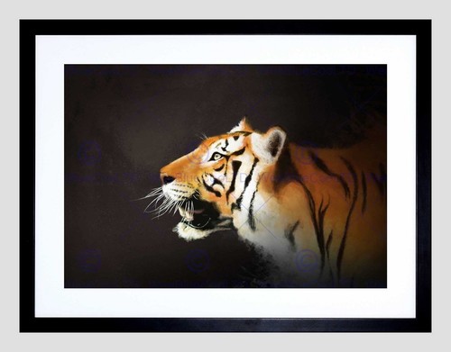 85395 disegno grande gatto - 85395,