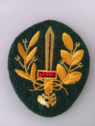 Fregio militare arditi rsi - fregio,