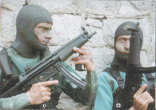 Gruppo incursori teseo tesei - gruppo,