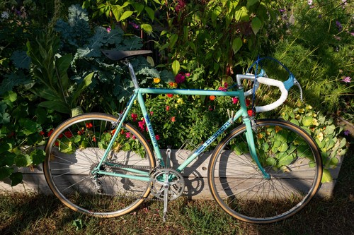 Bianchi nuovo alloro 1987 - nuovo,