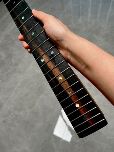 Tastiera ebano inox jumbo fret - inox,