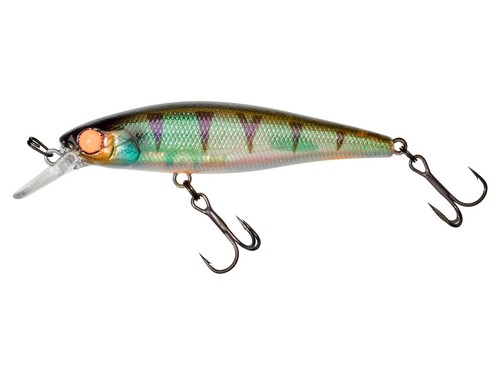 Illex squad minnow - squad, 95