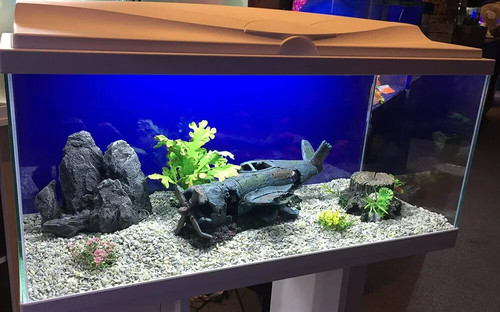 Nuovo fish tank - **nuovo**,