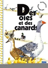 Oche E Anatre | In Ottime