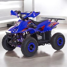KXD Quad ATV 125CC Automatico Mono marcia Ruote da 6” con Limitatore