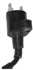 Ignition Coil for Honda 125 Ca