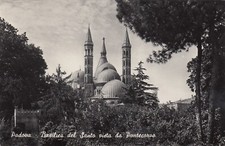 CARTOLINA *36 PADOVA BASILICA
