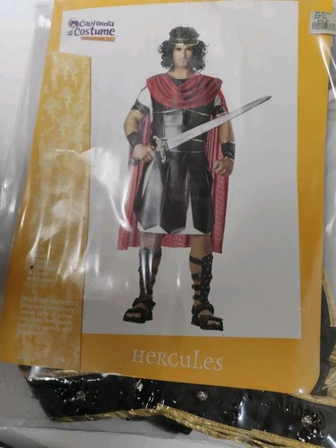 Costume carnevale uomo - costume,