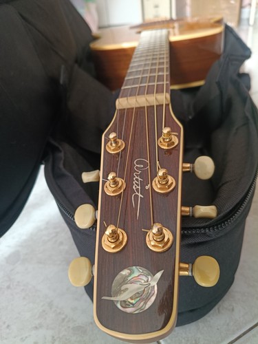 Chitarra acustica seagull - chitarra,