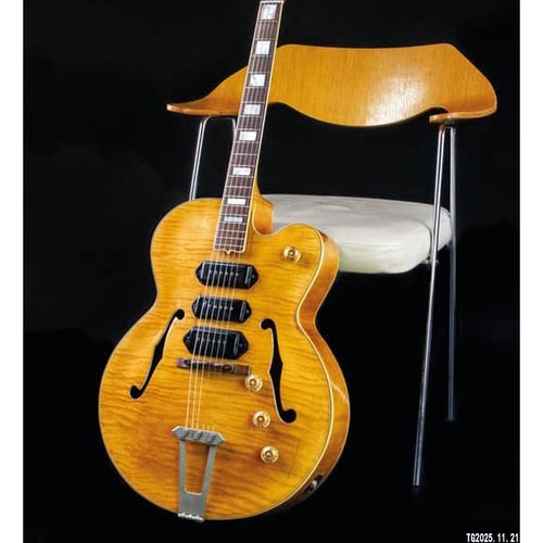 Chitarra elettrica bone - elettrica, t-bone