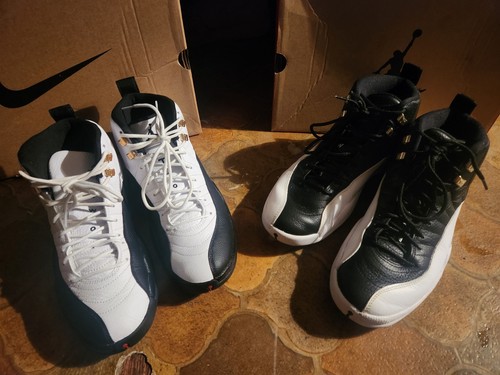 Air jordan retro - 12,