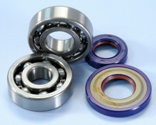 Polini Kit Revisione Albero Motore 282.0005 Vespa Cono 19  Cuscinetti + Paraoli