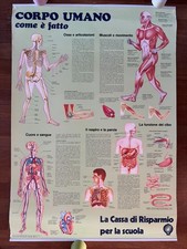 MANIFESTO,POSTER,IL CORPO UMANO COME E' FATTO,CASSA DI RISPARMIO,VALLARDI 1981