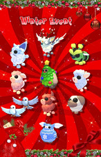 Winter Event | Angus Bull