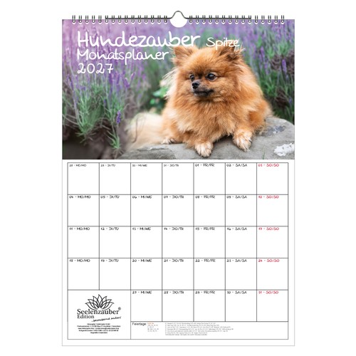 Planner pizzo magico per cani