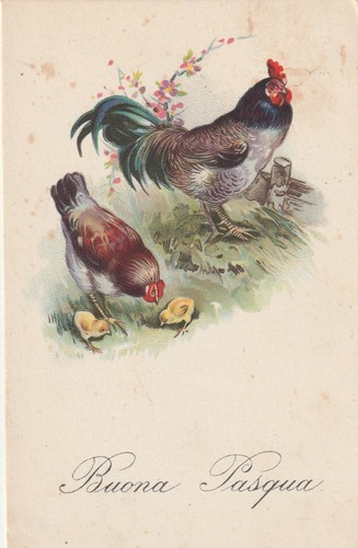 Cartolina augurale pasqua - -,