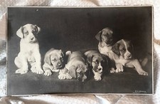 FOTO D'EPOCA 1904 di E. S