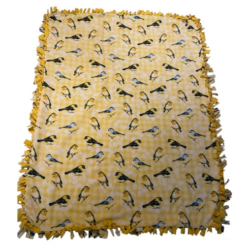 Coperta spring birds - birds, on