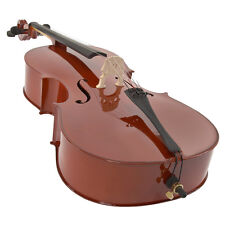 ROLING'S violoncello da studio