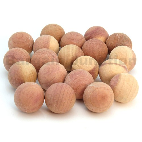 Palline cedro tarme - palline, larve