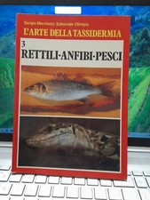 L'arte Della Tassidermia Rettili Anfibi Pesci Marchetti Olimpia