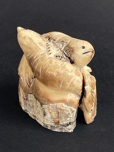 Rare fossil carved - rare,
