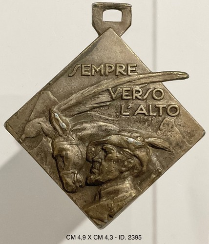 Alpini sempre verso alto - alpini, l’alto