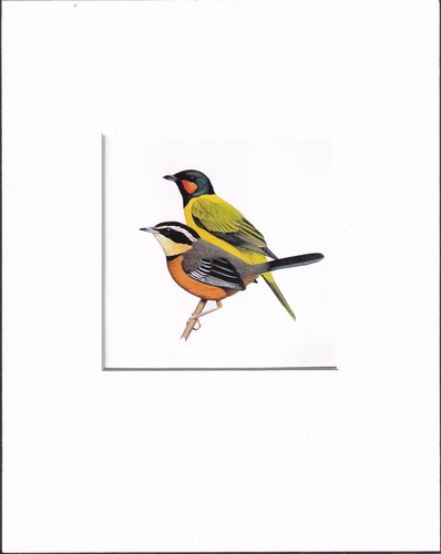 Quadro stampa opaca - 8x10", arte