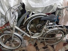 Antica Graziella carnielli