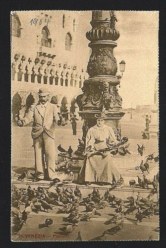 Venezia piccioni non - :,
