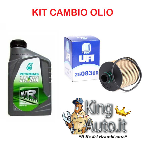Kit tagliando olio - kit,